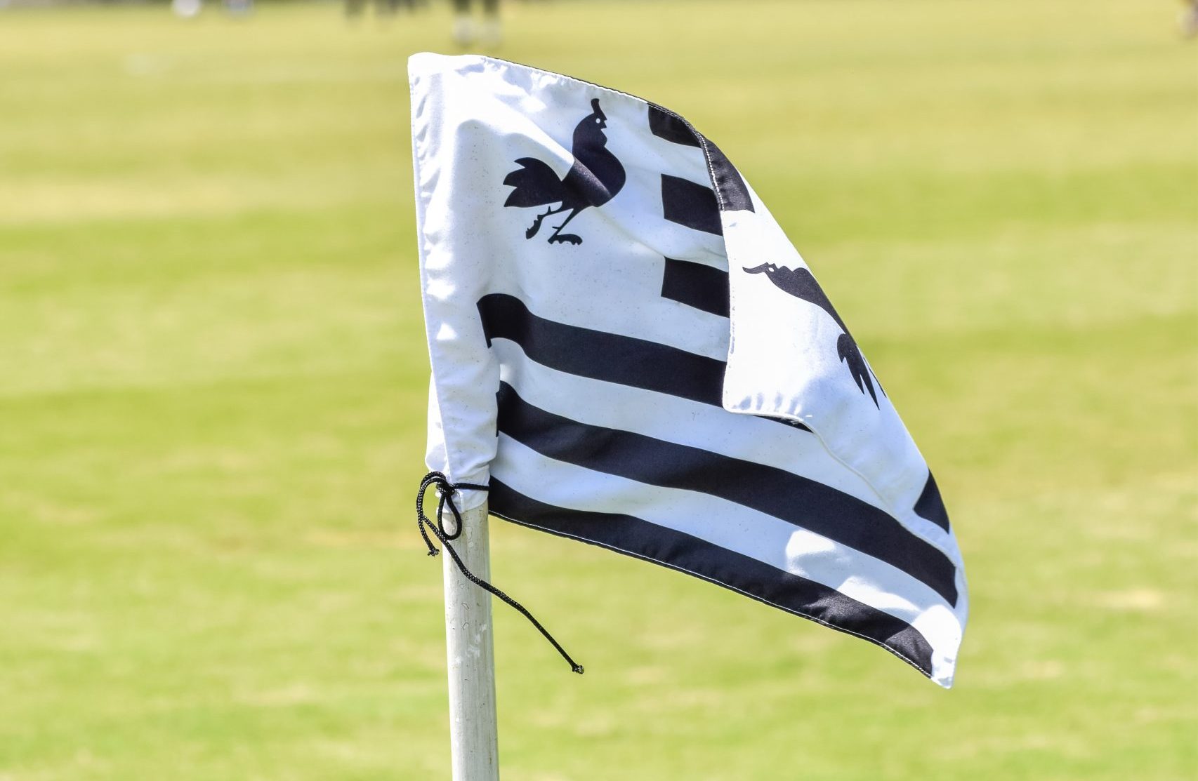 Treze reverte punição, e Xandy e Rickelme estão liberados para jogar no Campeonato Paraibano